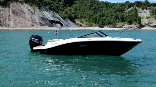 Sea Ray - 190 SPX
