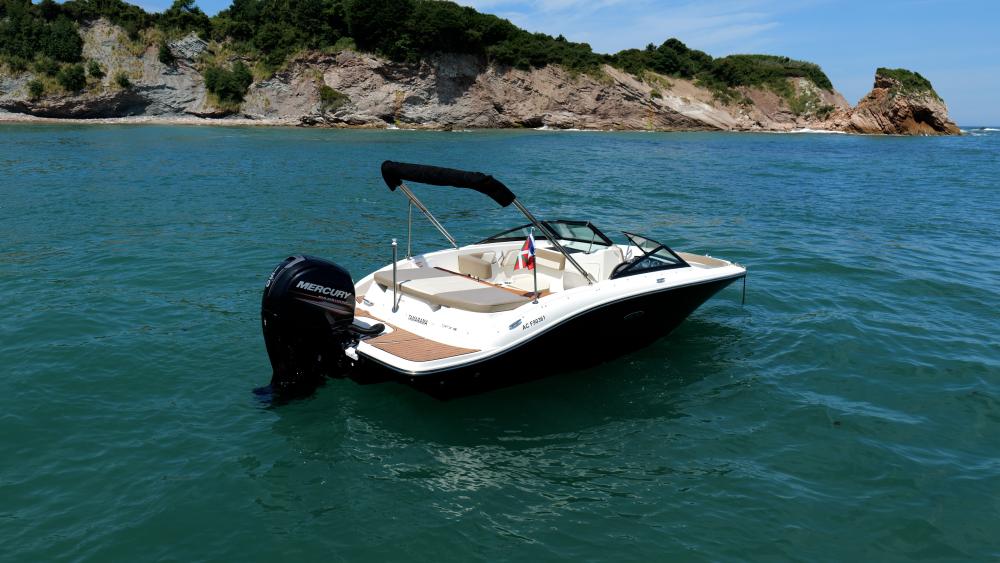 Searay AR D